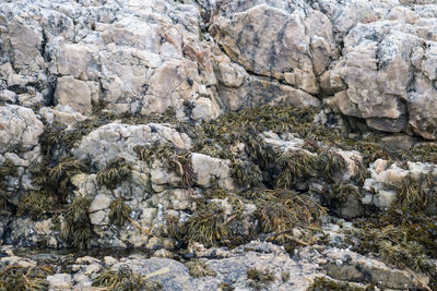 Full frame shot of rocks