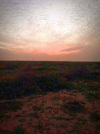Scenic view of landscape against sky at sunset