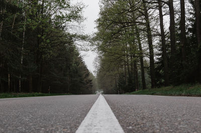 Road amidst trees against sky