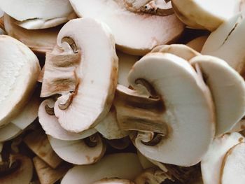 Close-up of white flowers