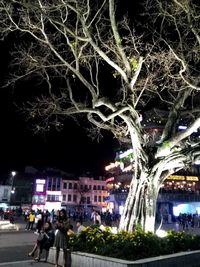 Illuminated christmas tree in city at night