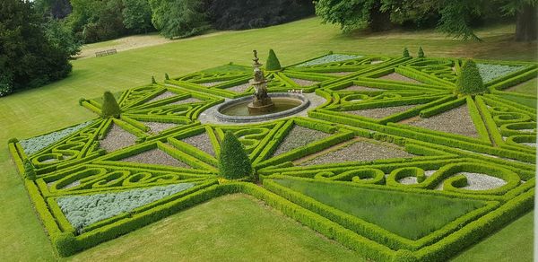 High angle view of plants growing in garden