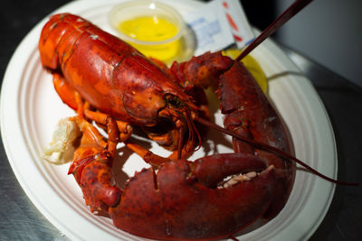 High angle view of lobster served in plate