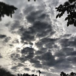 Low angle view of trees against cloudy sky