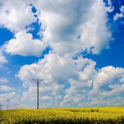 Scenic view of field against cloudy sky