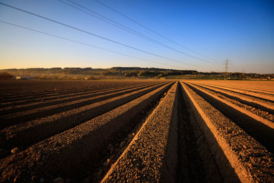 Scenic view of agricultural field against clear sky