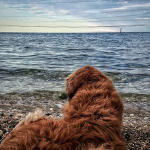 Scenic view of sea against sky