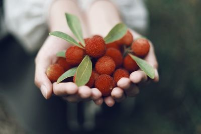 Close-up of hand holding strawberries