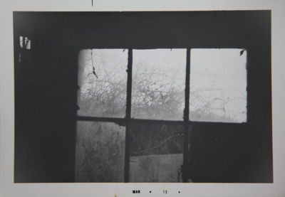window