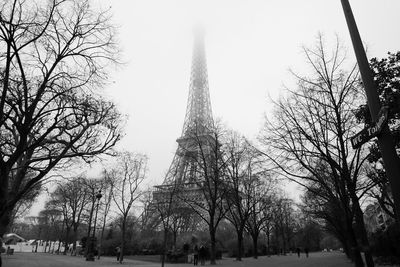 Low angle view of trees in winter