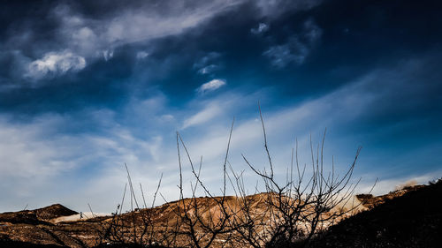 Low angle view of bare tree against sky