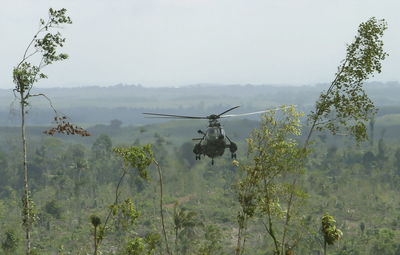 Helicopter fly at jungle area