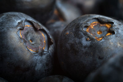 Macro photo of ripe blueberries