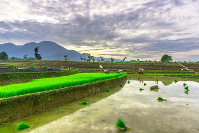 landscape