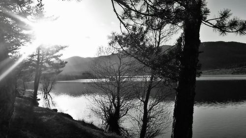 Scenic view of lake by trees against sky