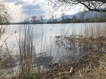 Scenic view of lake against sky