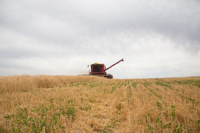 Combine harvester working on wheat field 