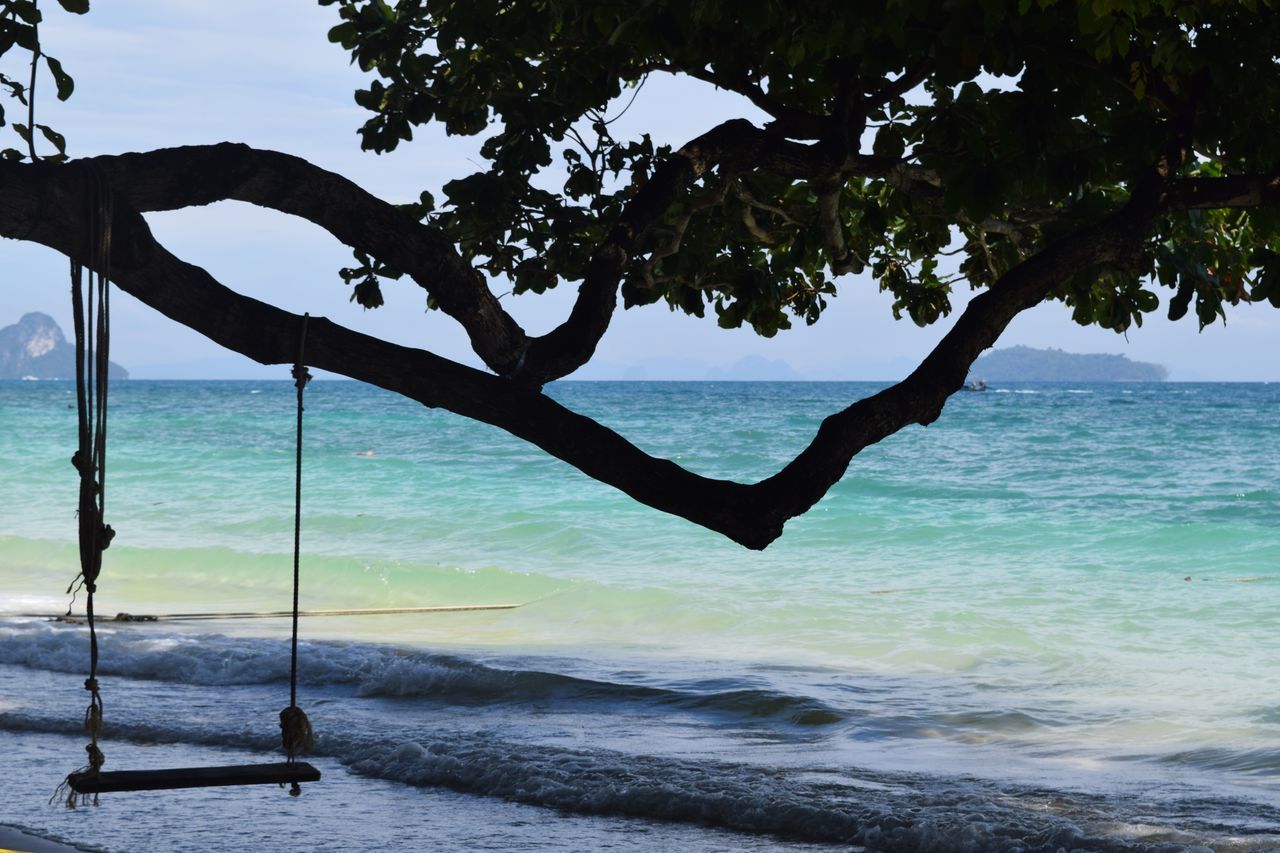 sea, water, tree, beauty in nature, nature, beach, plant, land, sky, scenics - nature, tranquility, day, one person, real people, tree trunk, trunk, tranquil scene, outdoors, idyllic, horizon over water, arms raised