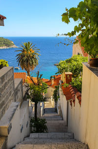 Calm sea with trees in background