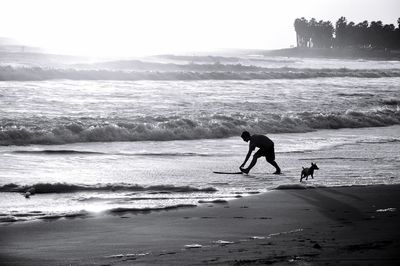 Silhouette man and dog walking on beach