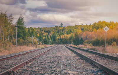 View of railroad tracks along trees and plants