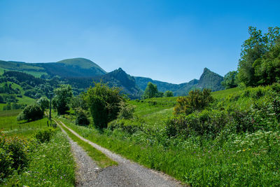 Auvergne volcanic landscape