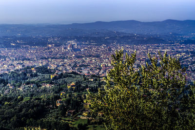 High angle view of trees and buildings in city