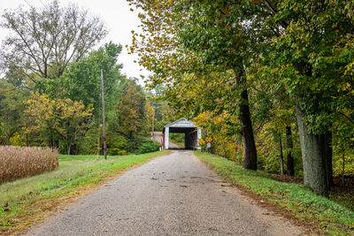 Empty road amidst trees