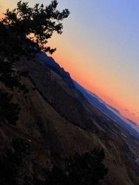 Scenic view of tree against sky during sunset