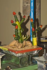 Close-up of fruits in plate on table