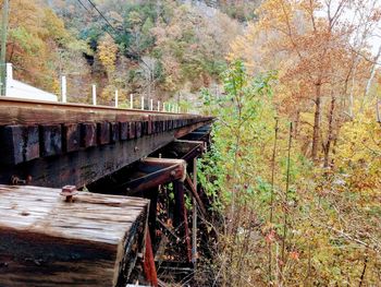 Abandoned bench in forest