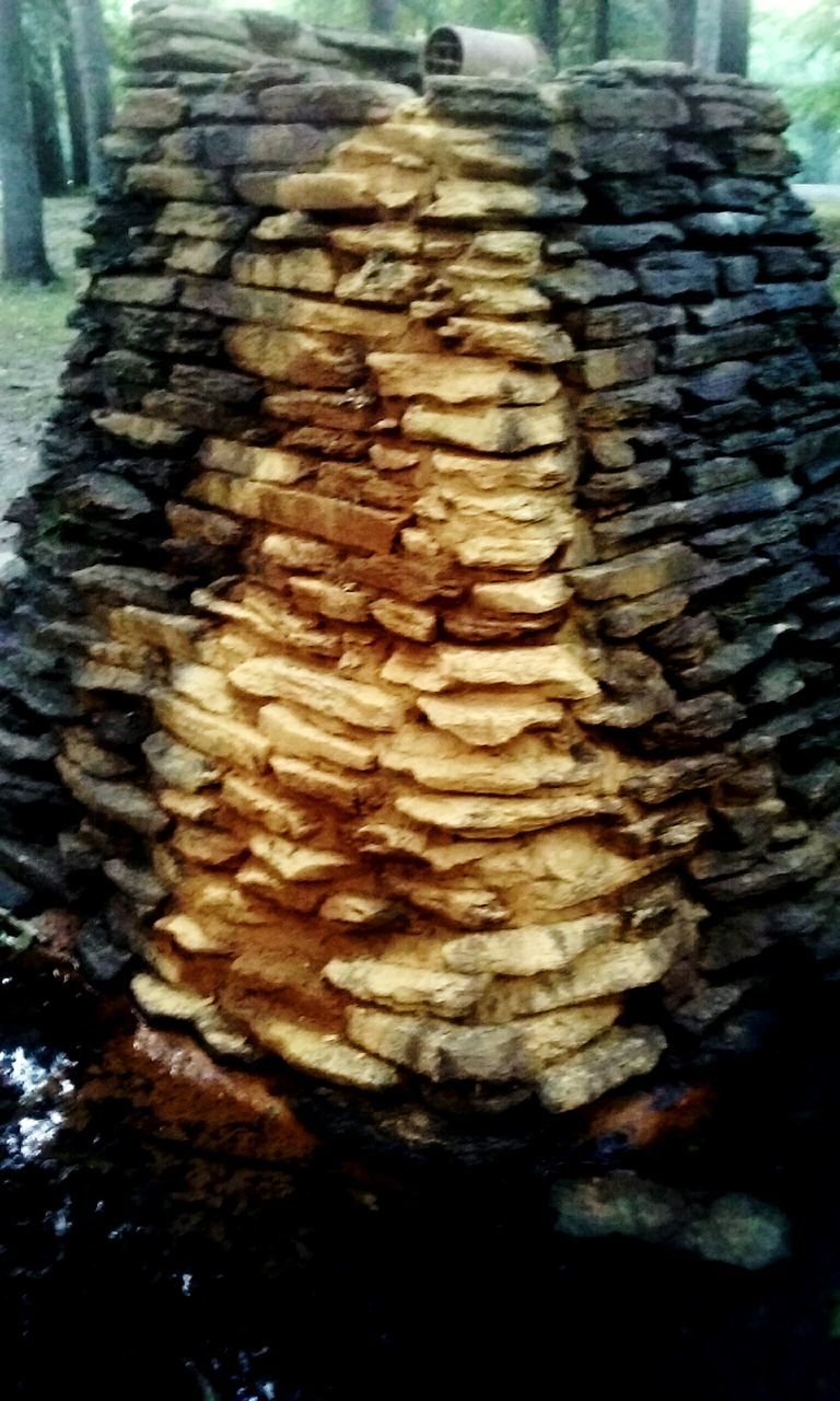 no people, nature, close-up, day, textured, tree ring, outdoors, tree stump, tree trunk, tree