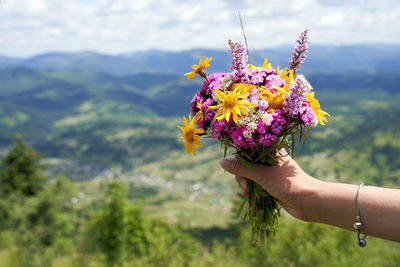 Close-up of hand holding purple flower