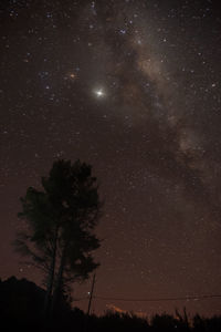 Low angle view of trees against sky at night