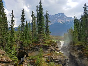 Scenic view of waterfall in forest against sky