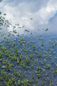Scenic view of lake against cloudy sky
