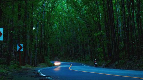 Road amidst trees in forest