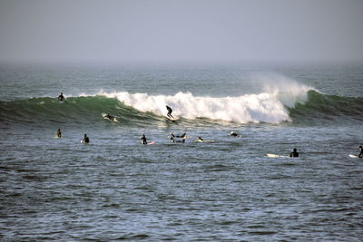 Group of people surfing in the sea