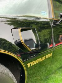 Close-up of car on glass window