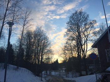 Bare trees on snow covered landscape against sky