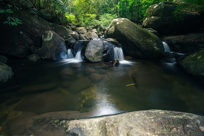 Water flowing through rocks in forest