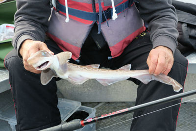 Midsection of man holding dogfish