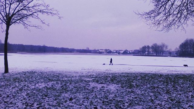 winter, snow, cold temperature, season, tree, bare tree, tranquil scene, landscape, beauty in nature, tranquility, field, weather, scenics, nature, clear sky, sky, branch, outdoors, covering