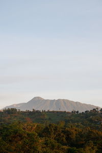 Scenic view of landscape against clear sky