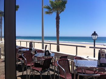 Chairs and palm trees on beach against clear sky