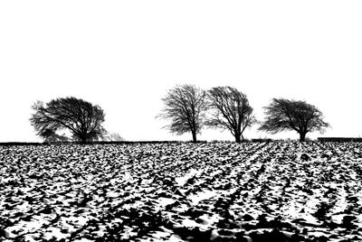 Trees on landscape against clear sky