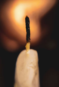 Close-up of cigarette against black background