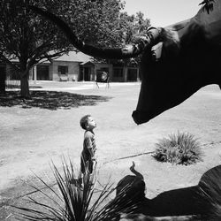 Side view of boy looking at bull sculpture on field