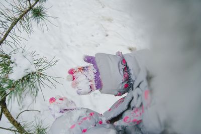 Close-up of flower in snow