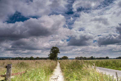 Scenic view of field against sky